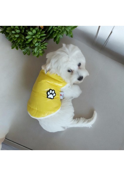 Köpek Montu – Peluş Astar, Su Geçirmez Kumaş