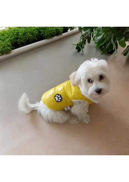 Köpek Montu – Peluş Astar, Su Geçirmez Kumaş indirimleri