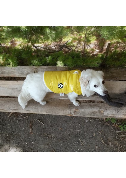 Köpek Montu – Peluş Astar, Su Geçirmez Kumaş