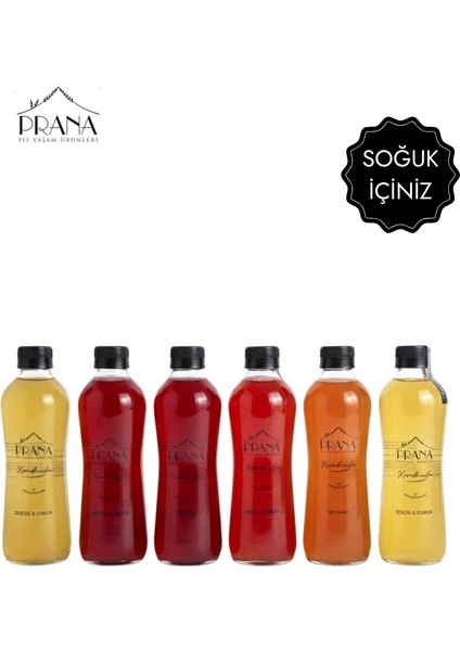 Kombucha Karışık Koli - 6*330ml - Fermente Probiyotik İçecek (Tarçın&Karanfil, Zencefil&Limon, Reyhan, Ahududu, Yaban Mersini, Aronya)