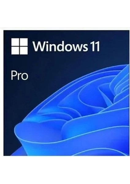 Ms Wındows 11 Pro 64 Bıt Turkce Oem FQC-10556 fiyatları