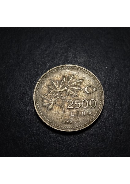 3996368F3C96848C2E 1992 2500LIRA Çt Eski Madeni Para fiyatları