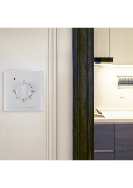 2x Ac 220V 10A 30 Mind Geri Sayım Zamanlayıcı Anahtarı Elektrik Dijital Dijital Time Tapa Kontrol Anahtarı Zamanlayıcı Soket Düğme Stili Mekanik (Yurt Dışından) fiyatları