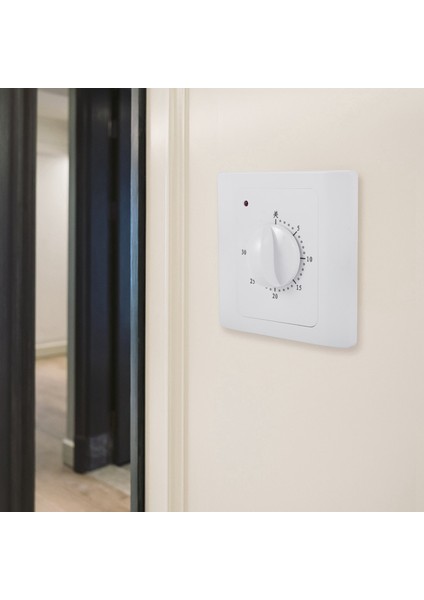 2x Ac 220V 10A 30 Mind Geri Sayım Zamanlayıcı Anahtarı Elektrik Dijital Dijital Time Tapa Kontrol Anahtarı Zamanlayıcı Soket Düğme Stili Mekanik (Yurt Dışından) modelleri