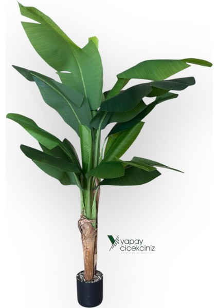 145 cm 13 Dallı Islak Görünüm Yoğun Iri Yapraklı Yapay Muz Ağacı modelleri