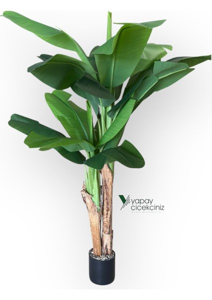 145 cm 13 Dallı Islak Görünüm Yoğun Iri Yapraklı Yapay Muz Ağacı fırsatları
