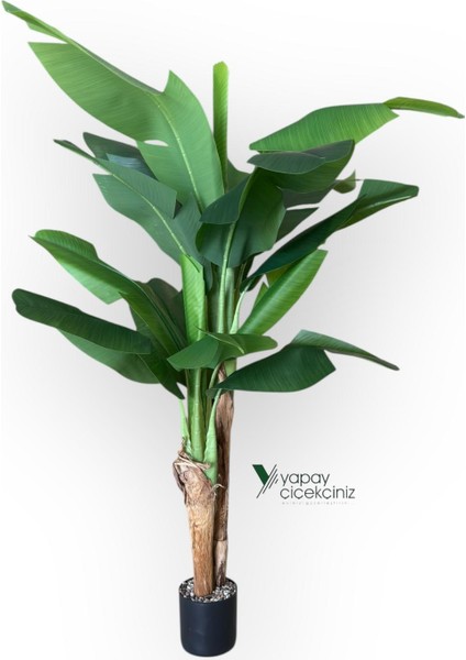 145 cm 13 Dallı Islak Görünüm Yoğun Iri Yapraklı Yapay Muz Ağacı indirimleri