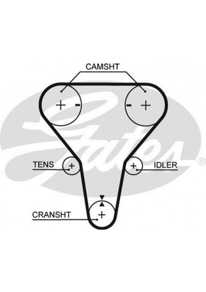 Mtxdpn Triger Kayişi 123X220 Mazda 323 1.5/1.6 16V 94-03 Ford Active 1.6 16V 00-05 CT1047
