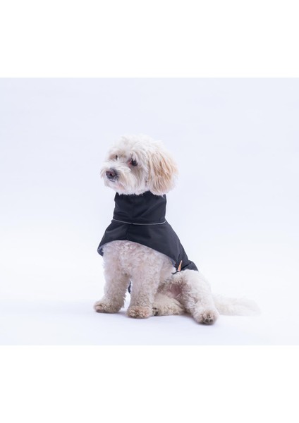 Siyah Colombia Prime V2 Polarlı Orta ve Büyük Irklar Için Köpek Yağmurluğu Köpek Kıyafeti Su Geçirmez Yağmurluk fırsatları