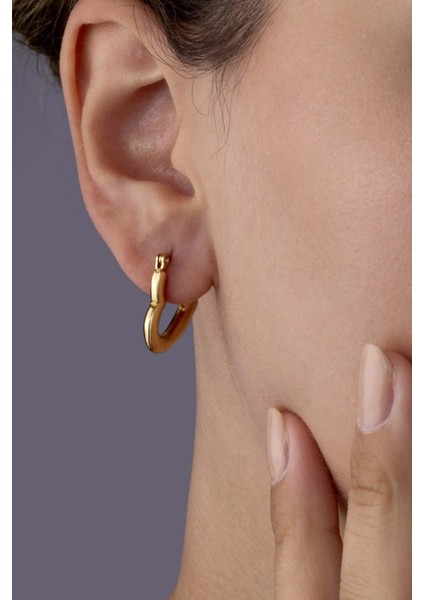 Altın Kaplama Kapli Çelik Küpe fiyatları