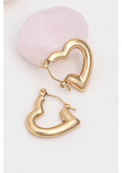 Altın Kaplama Kapli Çelik Küpe fırsatları