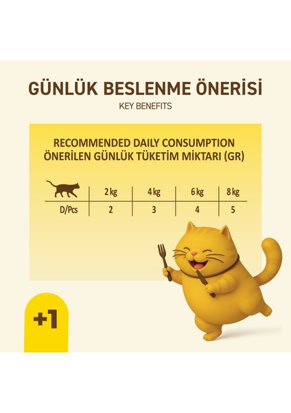 Tavuklu Yaş Kedi Maması 85 gr x 24 Adet – Jöle Içinde Parça Etli - Yetişkin Kedi