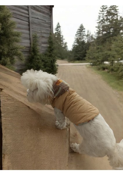 Köpek Montu – Polar Astar, Su Geçirmez Kumaş, Kapşonlu fiyatları