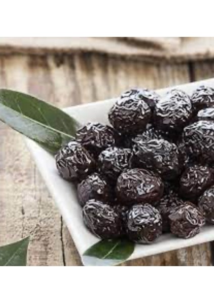 Osman Bey Zeytinyağı ve Zeytincilik Gemlik Tuzsuz Sele Zeytin modelleri