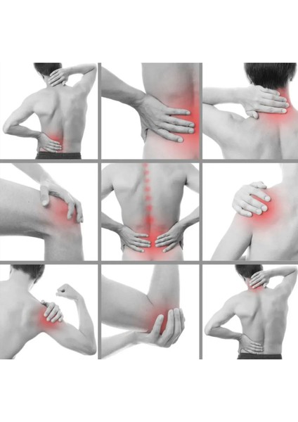 Biofreeze Bitkisel Içerikli Ağrı Masaj Kremi 150 ml x 2 Adet + Çörek Otu Yağı 30 ml Hediye indirimleri