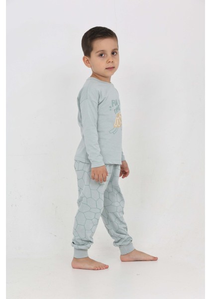 Erkek Çocuk Kaplumbağa Baskılı Pijama Takım fiyatları
