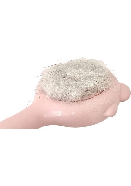 Evcil Hayvan Masajı Tüy Alma Tarağı (Yurt Dışından) fiyatları