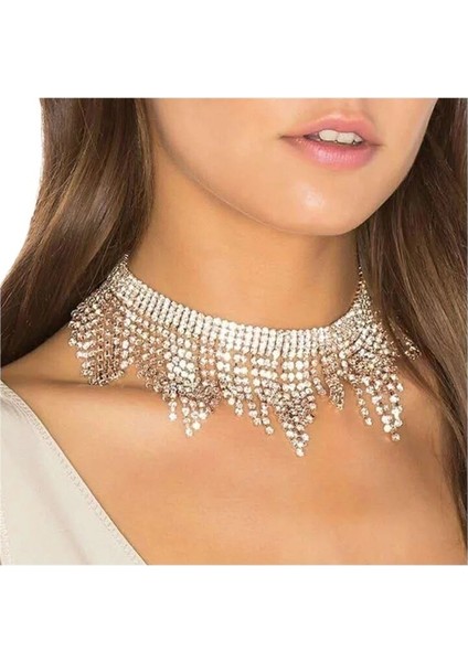 Kadınlar Için Mizaç Kolyesi Hafif Lüks Niş Püskül Kolye (Yurt Dışından) fiyatları