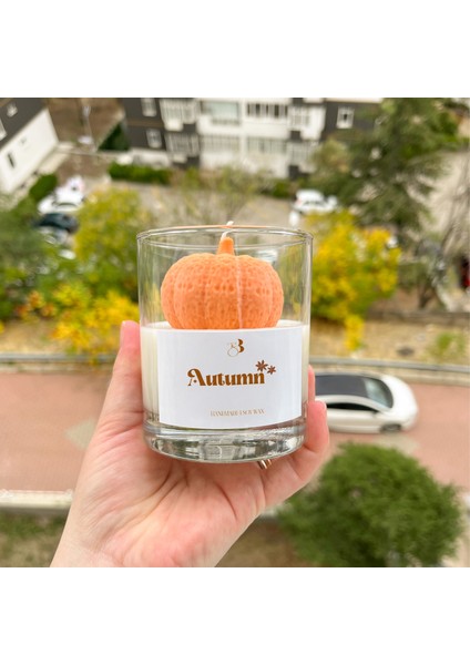 Tarçın Elma Kokulu Balkabağı Dekorlu El Yapımı Soya Mumu modelleri