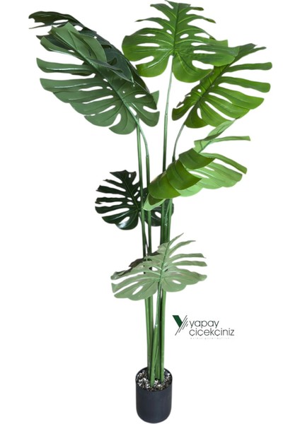 150 cm 7 Dallı Islak Dokulu Iri Yapraklı Lüks Yapay Monstera Deve Tabanı Ağacı fiyatları