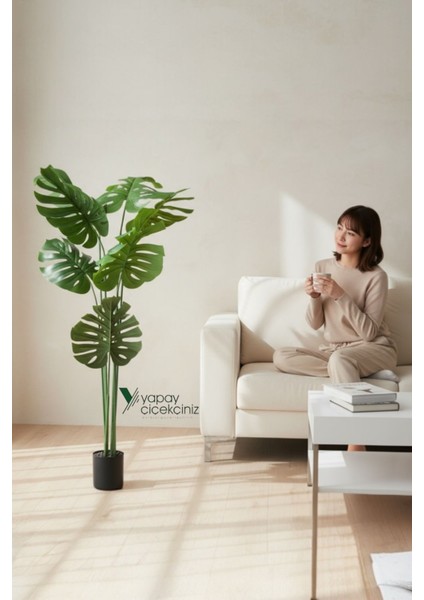 150 cm 7 Dallı Islak Dokulu Iri Yapraklı Lüks Yapay Monstera Deve Tabanı Ağacı fırsatları