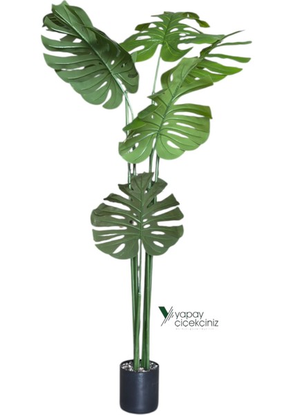 150 cm 7 Dallı Islak Dokulu Iri Yapraklı Lüks Yapay Monstera Deve Tabanı Ağacı indirimleri