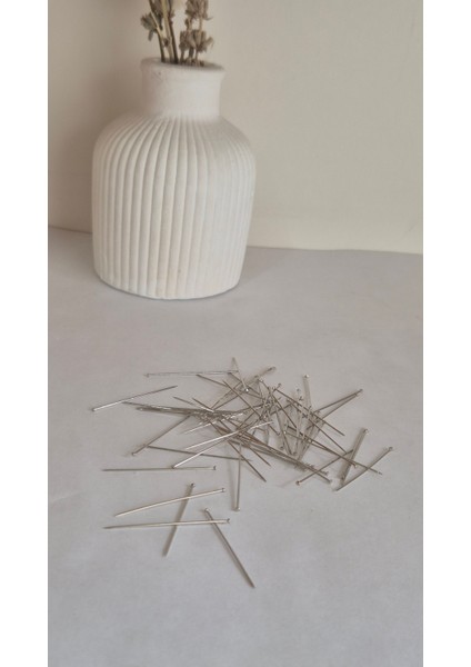 Toplu Iğne 25 gr Çelik 34NO