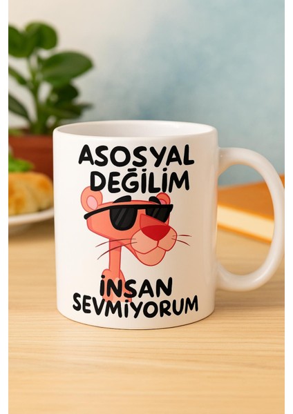 Asosyal Değilim Insan Sevmiyorum Bardak