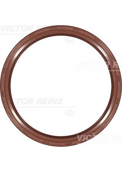 Mtxdpn Shaft Oil Seal