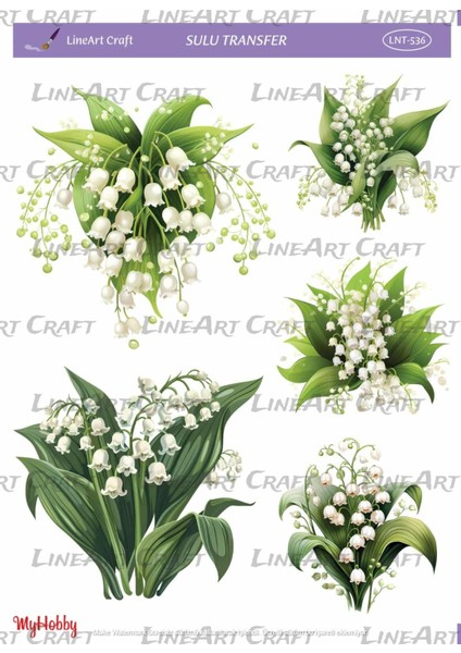 LNT536 Çiçek, Krem Tonları Açık Zemin Sulu Transfer 25*35 cm