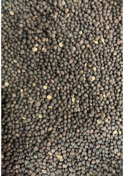 Yemlik Fiğ Tohumu – Kuş/tavuk/kanatlı Hayvan Yemi Için Yüksek Proteinli Tane