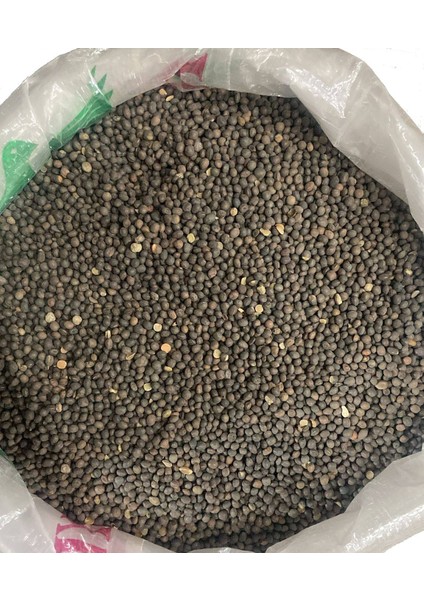 Yemlik Fiğ Tohumu – Kuş/tavuk/kanatlı Hayvan Yemi Için Yüksek Proteinli Tane fiyatları