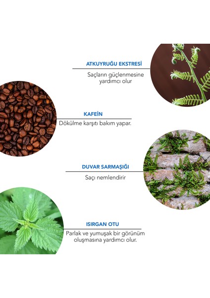 Organik Prebiyotik Şampuan 350 ml fiyatları