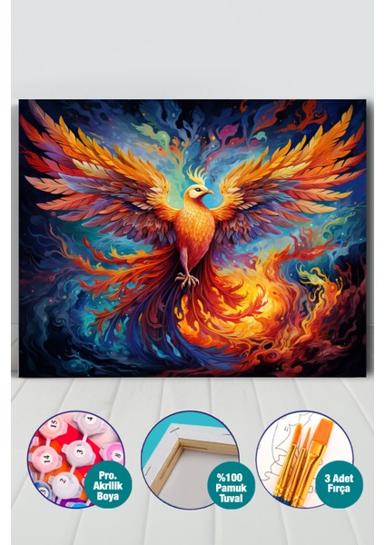 Anka Kuşu Sayılarla Boyama Seti