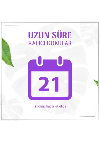 Uzun Süre Kalıcı Ip Askılı Oto Kokusu indirimleri