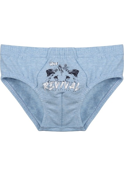 5'li Erkek Çocuk Külot