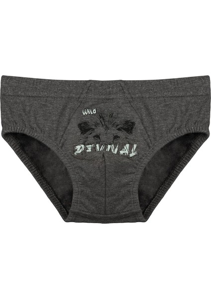 5'li Erkek Çocuk Külot