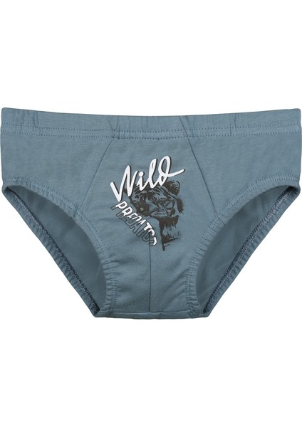 5'li Erkek Çocuk Külot