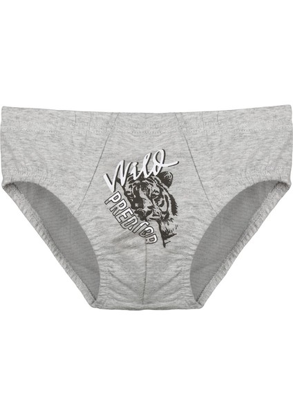 5'li Erkek Çocuk Külot