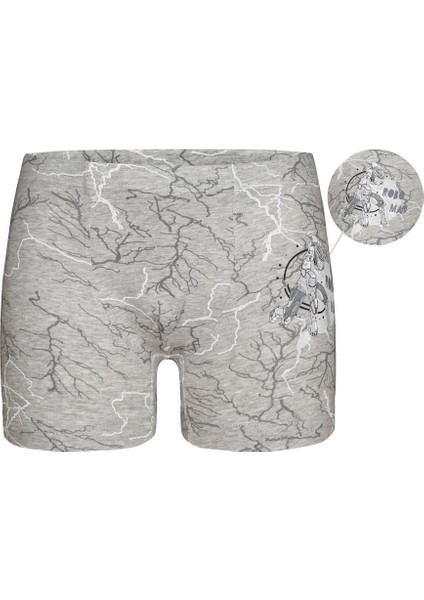 5'li Erkek Çocuk Boxer