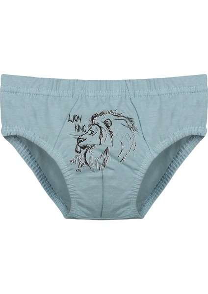 5'li Erkek Çocuk Külot