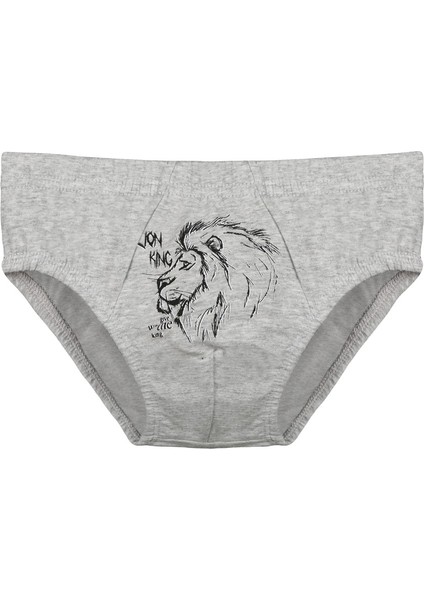 5'li Erkek Çocuk Külot