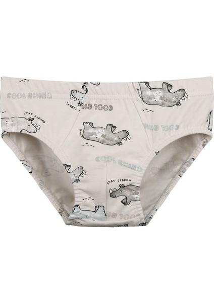 5'li Erkek Çocuk Külot