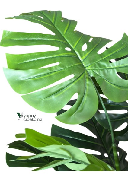 14 Dallı Iri Yapraklı Islak Dokulu Lüks Yapay Monstera Deve Tabanı Ağacı modelleri