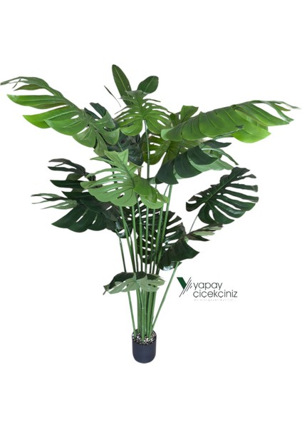 14 Dallı Iri Yapraklı Islak Dokulu Lüks Yapay Monstera Deve Tabanı Ağacı fırsatları