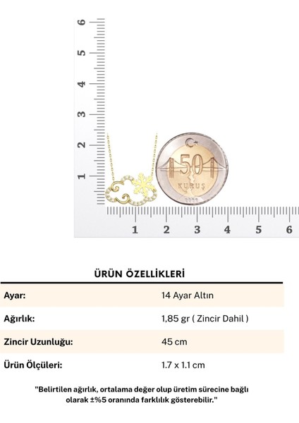 Bulut Kar Tanesi 14 Ayar Altın Kolye indirimleri