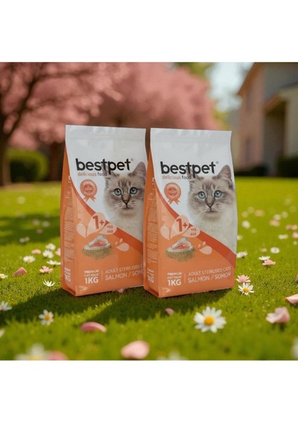 Kısırlaştırılmış Somonlu Yetişkin Kedi Maması 1kg*2 Adet