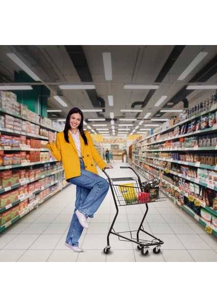 Minicart Şarküteri ve Kuruyemiş Metal Market Arabası 36 Litre Füme modelleri