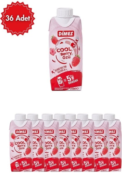 Cool Berry Özü 310 ml x 36 Adet | Ekonomik Toplu Paket, Meyve Aromalı Konsantre