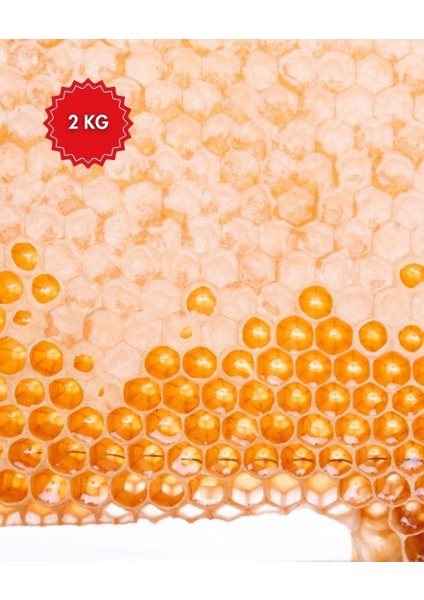 Ağrı Petek Bal - Geleneksel Lezzet ve Yoğun Aroma